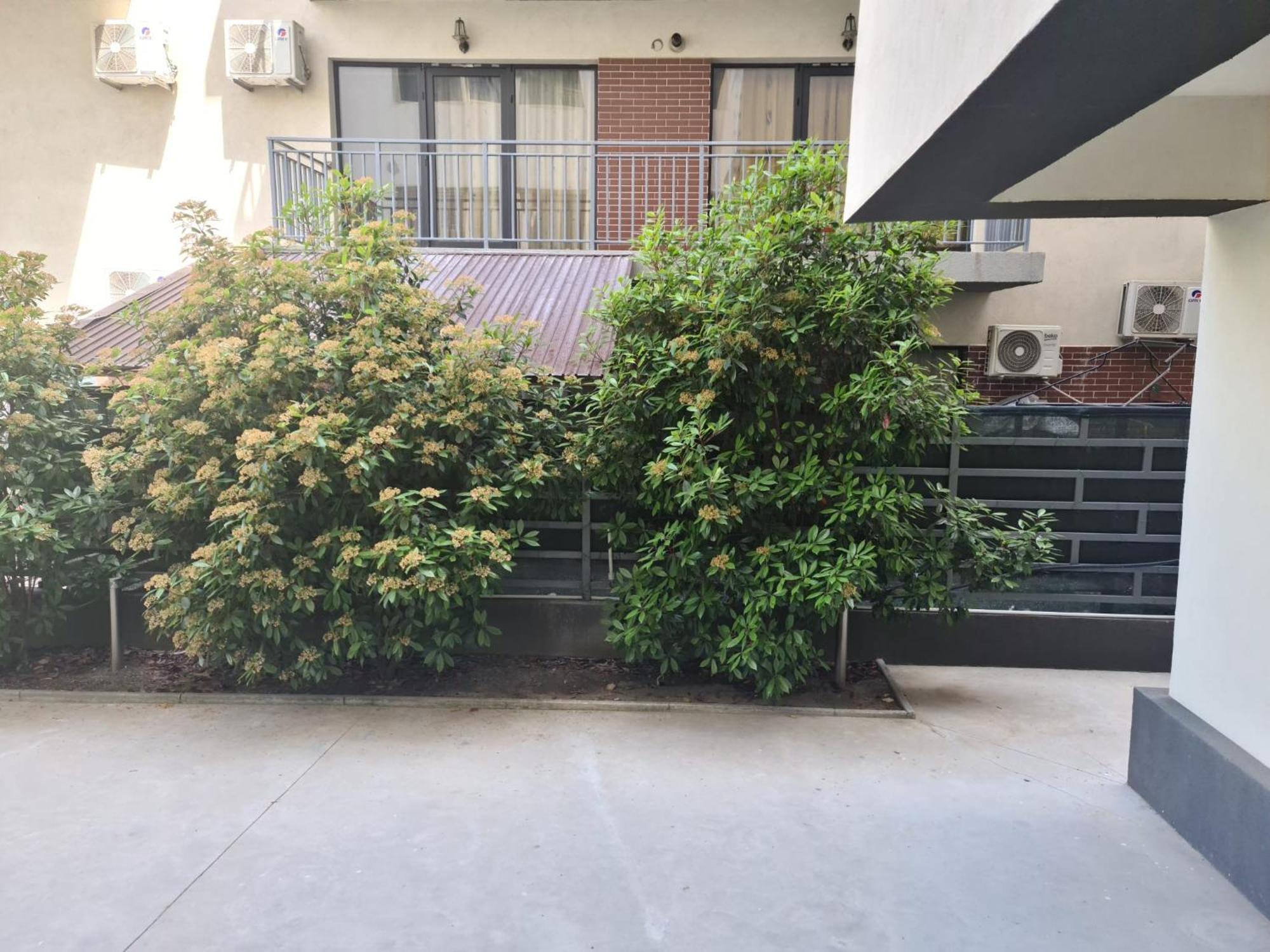 Apartament Deea Navodari Bagian luar foto
